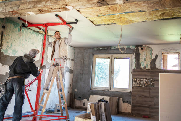 Best Geographic-Specific Insulation Services in Mount Repose, OH